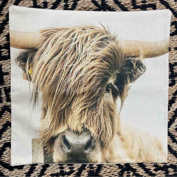 Highland Cow Pillow Cover NWOT - Picture 1 of 5